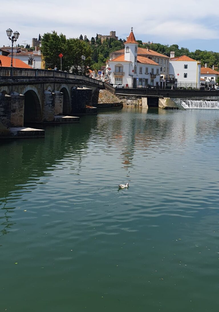 Tomar bridge