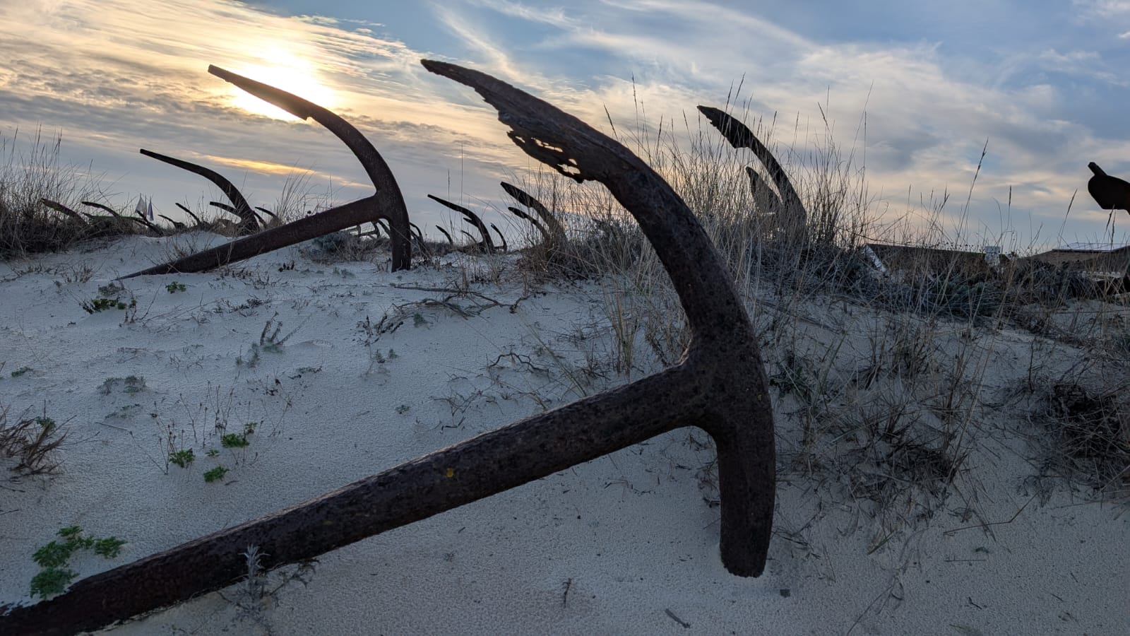 Anchors graveyard faro